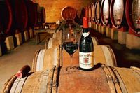 Wine yang diolah dengan cara fermentasi kuno.