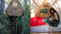 Dengan ukuran itu, Birdhut bisa diisi satu tempat tidur berukuran besar untuk dua orang. Istimewa/inhabitat.