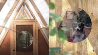 Untuk rusan atap, dipilih material polycarbonate semi transparan yang memungkinkan cahaya secara alami masuk ke dalam ruangan. Istimewa/inhabitat.