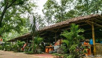 Kawasan ini tergolong asri dengan banyaknya pohon-pohon rindang yang menghalangi tempat ini dari panasnya terik matahari.
