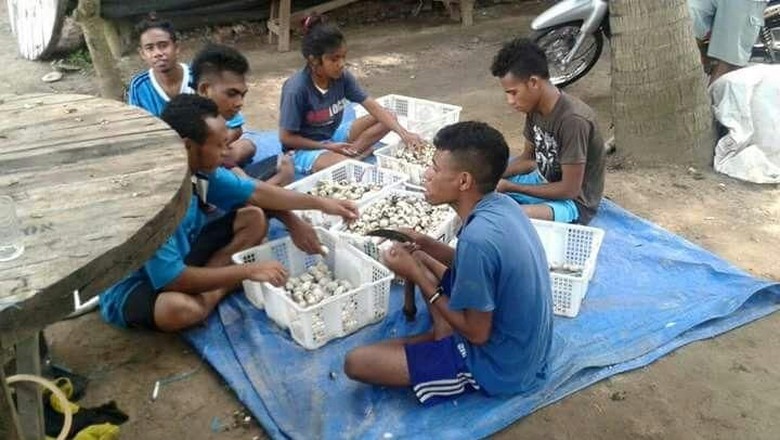 Rombak Sistem, Agis Tingkatkan Pendapatan Petani Rp 300 Ribu/Hari Rombak Sistem, Agis Tingkatkan Pendapatan Petani Rp 300 Ribu/Hari