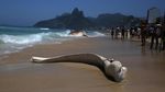 Foto: Penampakan Paus Raksasa yang Mati di Pantai Brasil