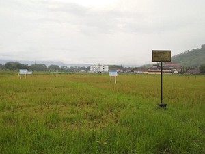 Pemkab Trenggalek Bangun Pertanian Terpadu Senilai Rp 2,6 Miliar