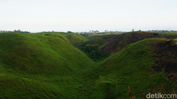 Ada beberapa bagian Bukit Teletubbies yang gosong terbakar (Wahyu/detikTravel)