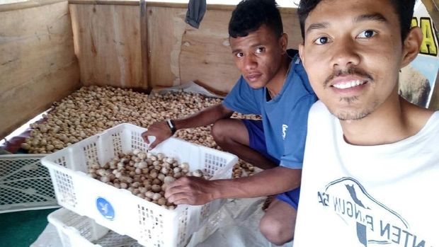 Rombak Sistem, Agis Tingkatkan Pendapatan Petani Rp 300 Ribu/Hari