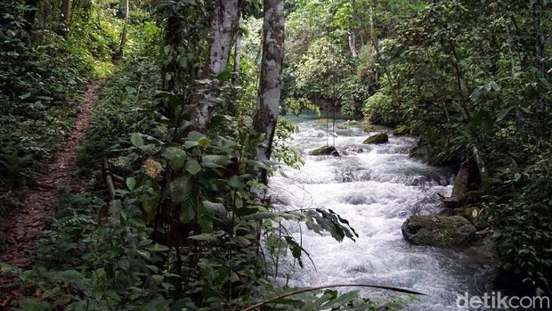 Aliran air terjun Laumarang (Wahyu/detikTravel)