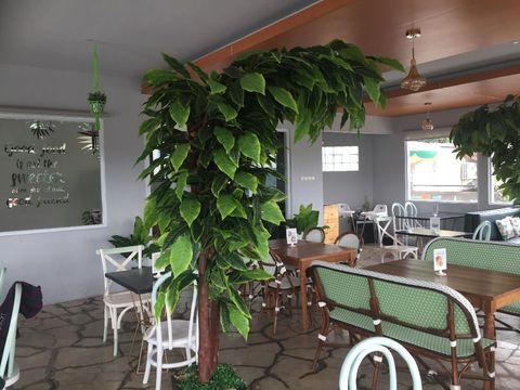 Santap Siang di Kafe Kekinian Bogor, Teras Dara