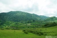 Areal milik warga (Wahyu/detikTravel)