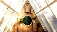 Birdhut dibangun menggunakan pohon pinus yang dikeringkan. Istimewa/inhabitat.