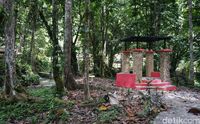 Jalanan menuju ke Air Terjun Salodik (Wahyu/detikTravel)