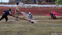Petugas menyiram rumput yang baru ditanam.