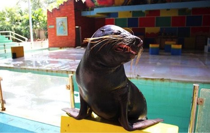 Ajak Si Kecil Lihat Biota Laut di Sini, Ada Promo Buy 1 Get 1