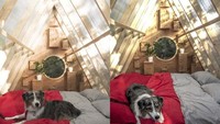 Birdhut dilengkapi dua jendela sebagai ventilasi. Selain itu, ada 12 lubang yang lebih kecil sengaja disematkan untuk sangkar burung sungguhan yang terhubung dengan kotak kecil di bagian dalam rumah. Istimewa/inhabitat.