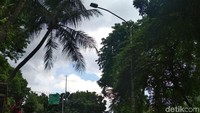 Awalnya tiang lampu ini dikira tiang listrik milik PLN oleh banyak pihak.