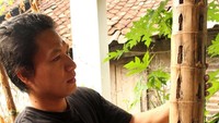 Ini bambu Lawang, bambu yang mengandung philosofi tinggi buat kehidupan manusia sendirinya sujud menyembah ke sang pencinta. Stefano Romano/Laskar Kampungku.