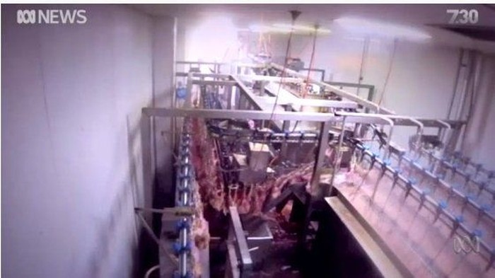 RPH di Melbourne Rebus Ayam Hidup-hidup