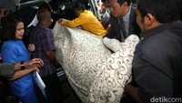 Setibanya di RSCM Kencana, Novanto ditutupi selimut oleh beberapa orang yang mendampinginya. Agung Pambudhy/detikcom.