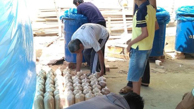 Rumah Jamur, Harapan Baru Masyarakat Kampung Pedado Palembang