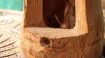 Melihat Beragam Koleksi Bambu Unik
