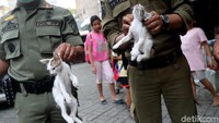 Para petugas gabungan dari Satpol PP, Dishub, kecamatan, dan kelurahan serta warga turut ikut dalam operasi ini.