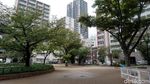 Foto: Di Jepang, Setiap Lahan Kosong Dibuat Taman