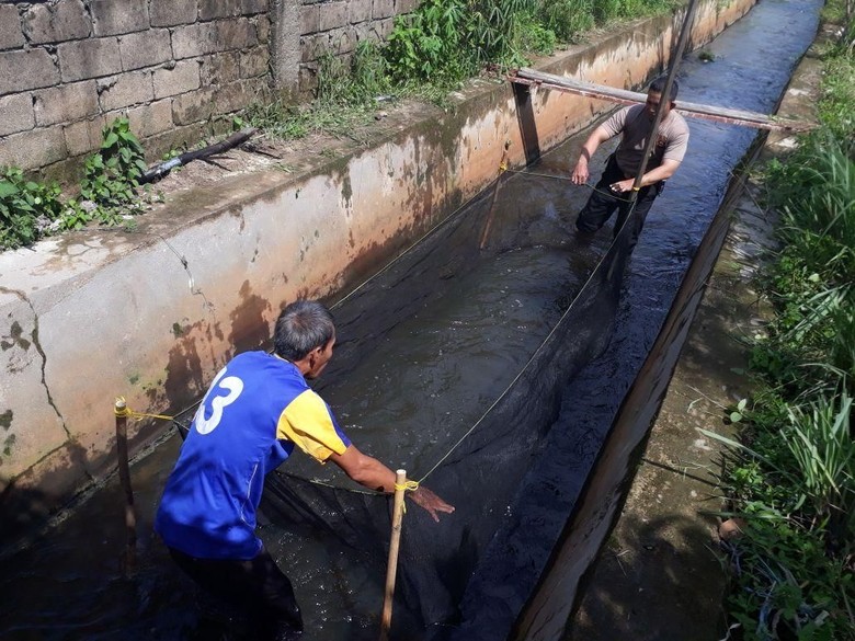 Kreatif! Selokan di Palembang Disulap untuk Ternak Ikan Kreatif! Selokan di Palembang Disulap untuk Ternak Ikan