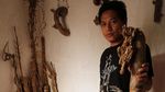 Melihat Beragam Koleksi Bambu Unik