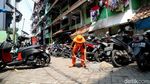 Razia Kucing Liar di Rusun Baladewa