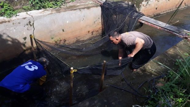 Kreatif! Selokan di Palembang Disulap untuk Ternak Ikan