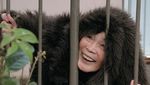 Bosan Lihat Meme Setnov? Ini Foto-foto Lucu Nenek 89 Tahun di Jepang