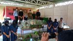 Foto: Derita Burung Kakatua dan Nuri yang Disekap di Paralon