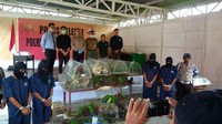 Burung-burung Nuri Bayan dan Kakatua di paralon serta kandang besi hendak diselundupkan ke Filipina. Burung kakatua putih sendiri terdaftar sebagai salah satu hewan yang terancam punah oleh Perhimpunan Internasional untuk Konservasi Alam (IUCN). Foto: Burung di Paralon. (Dok. KLHK)