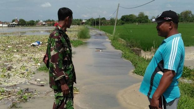 Luapan air menggenangi puluhan hektar areal persawahan