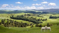 Jangan lupa masukan ke daftar destinasi kamu negara Selandia Baru. Negara yang sangat cantik ini patut kamu kunjungi! (dok Thinkstock)