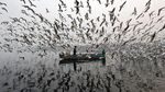 Ratusan Burung Camar Kepung Pria Bersampan di Sungai Yamuna