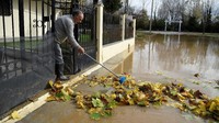 Seorang warga membersihkan rumahnya yang terkena banjir di Yunani. Foto: Alexandros Avramidis/Reuters
