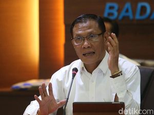 BPS akan Rilis Data Baru Produksi Padi di Agustus
