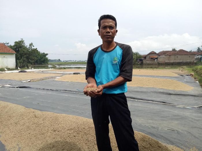 Petani Asefullah /Foto: Muhammad Idris/detikcom Petani Asefullah /Foto: Muhammad Idris/detikcom