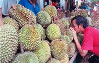 Pencinta Durian? 5 Tempat Ini Punya Durian Masak yang Enak