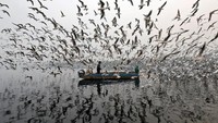 Foto itu dijepret pada pagi hari.  Saat itu susana di Sungai Yamuna sedang berkabut. Foto: Saumya Khandelwal/Reuters