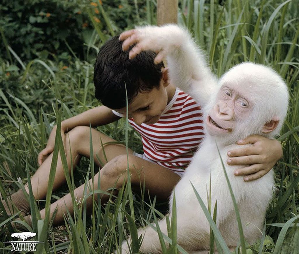 Potret Hewan Albino Langka Yang Menakjubkan Foto 14