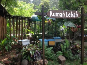 Saat Lebah Punya Rumah di Ecopark Ancol