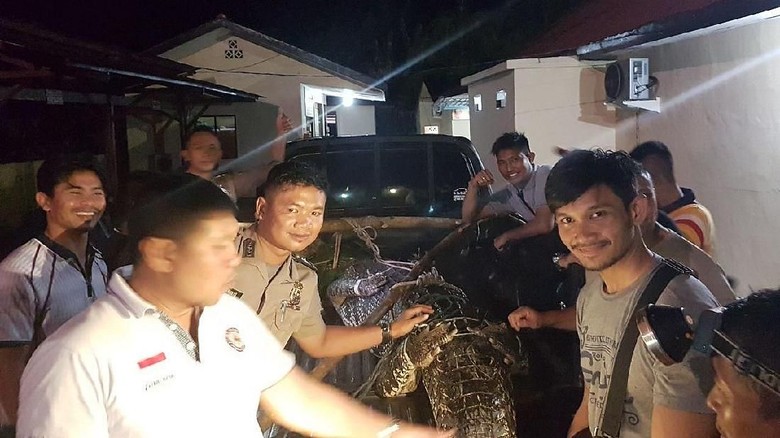 Lepas dari Kandang, Buaya Ini Masuk ke Permukiman Warga Lepas dari Kandang, Buaya Ini Masuk ke Permukiman Warga