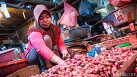 Pedagang sedang merapikan bawang merah yang akan dia jual.