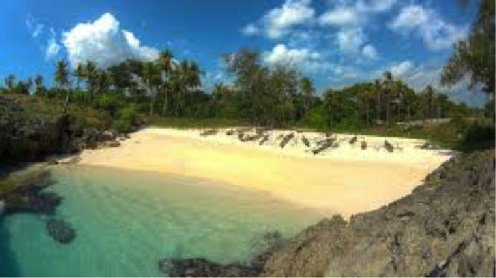 6 Hari Penuh Aksi dalam Jelajah Tanahumba