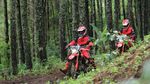Terabas Hutan Pakai Motor Trail