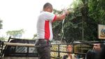 Begini Proses Penyelamatan Kuda Delman Bernasib Nahas di Menteng