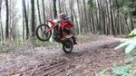 Terabas Hutan Pakai Motor Trail