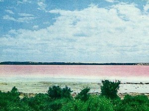 Lake Pink di Australia Barat Tidak Lagi Merah Muda