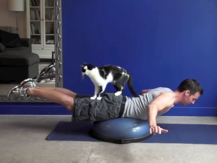 Pria Ini Praktikkan Cara Olahraga Bareng Kucing Kesayangan